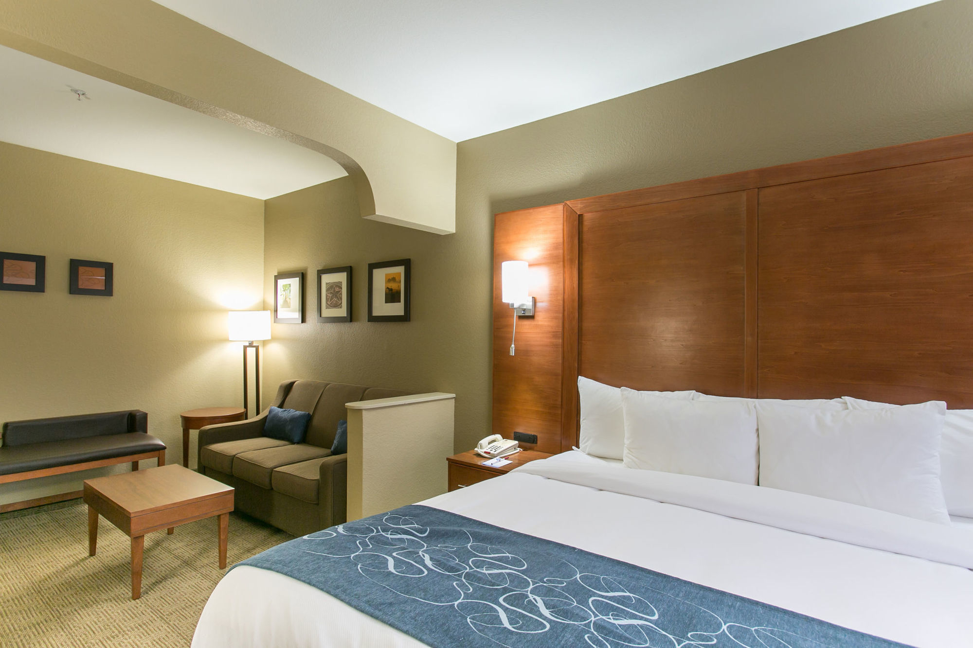 Comfort Suites Austin Nw Lakeline Rum bild